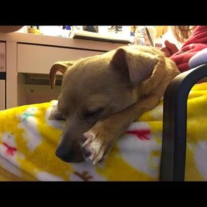 Meet your Posher, Erika